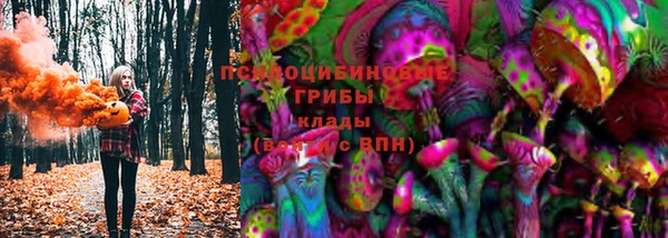 мяу мяу мука Алексеевка