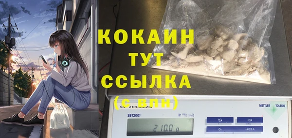 соль курить ск Алзамай