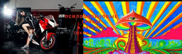 кокс Алексин