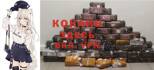 кокс Алексин