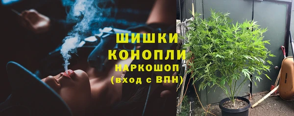 стафф Семёнов